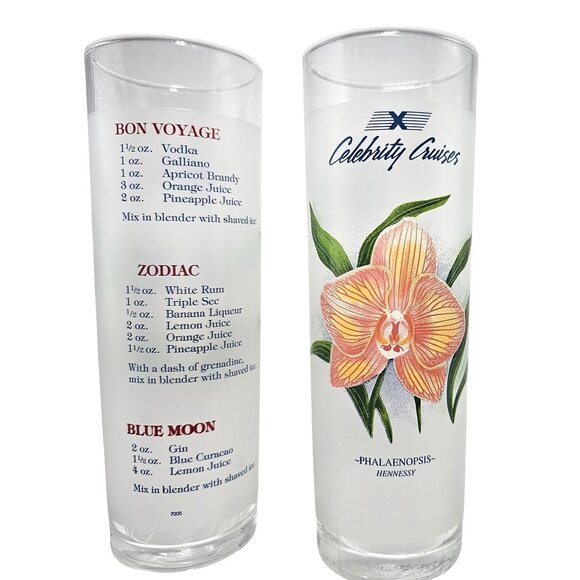 Celebrity Cruises Frosted Tropical Orchid Highball Collins Glasses Set Of 7 - Picture 3 of 11